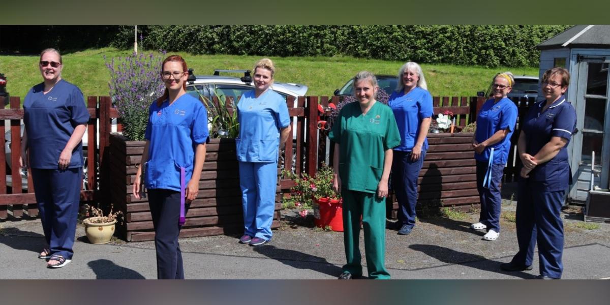 Bwrdd Iechyd Prifysgol Betsi Cadwaladr