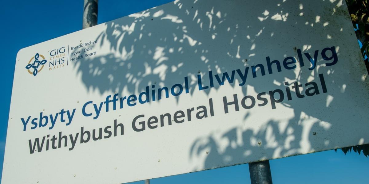 Llwynhelyg