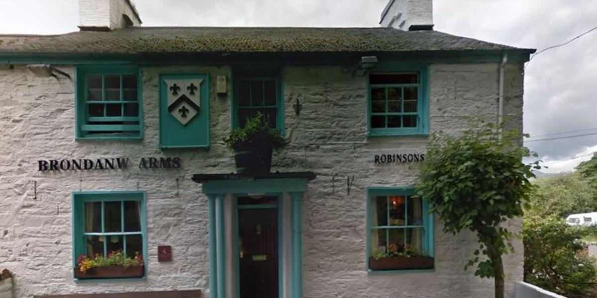 Brondanw Arms/Y Ring