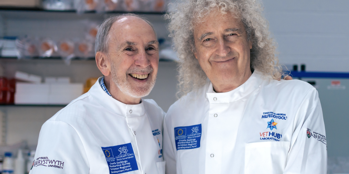 Brian may TB 