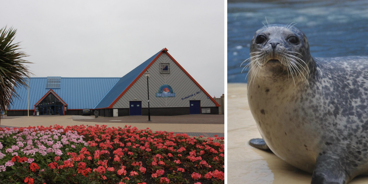 SeaQuarium Rhyl