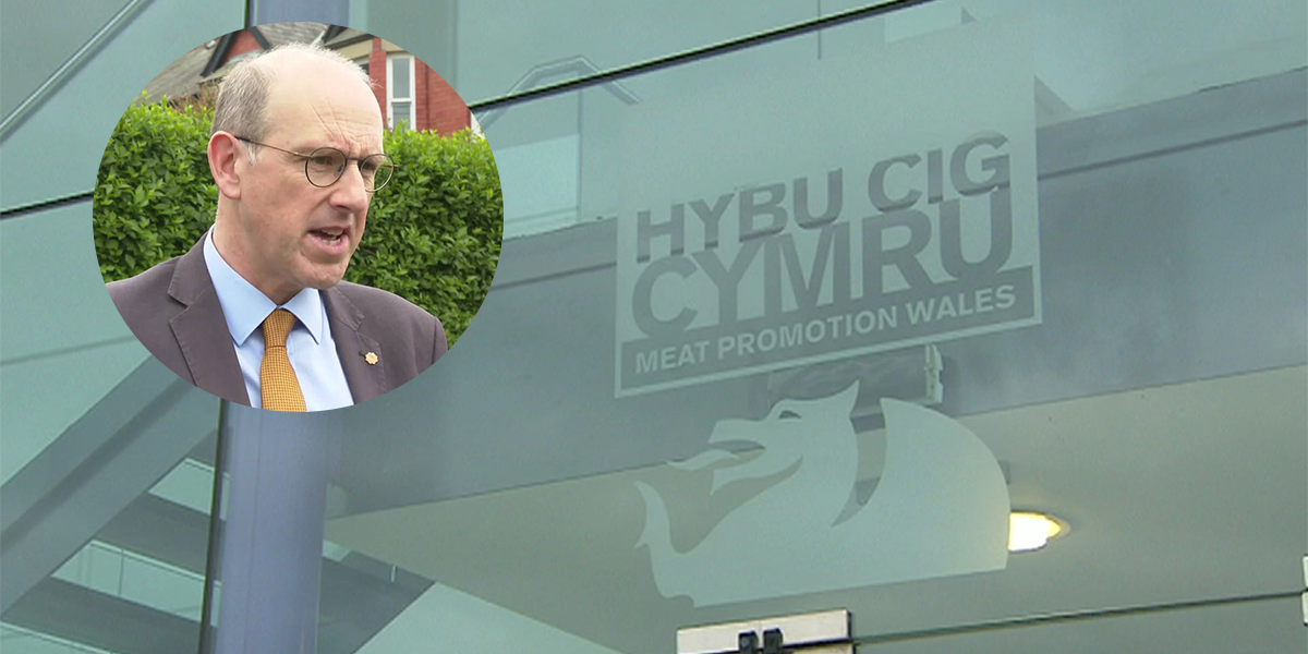 Hybu Cig Cymru