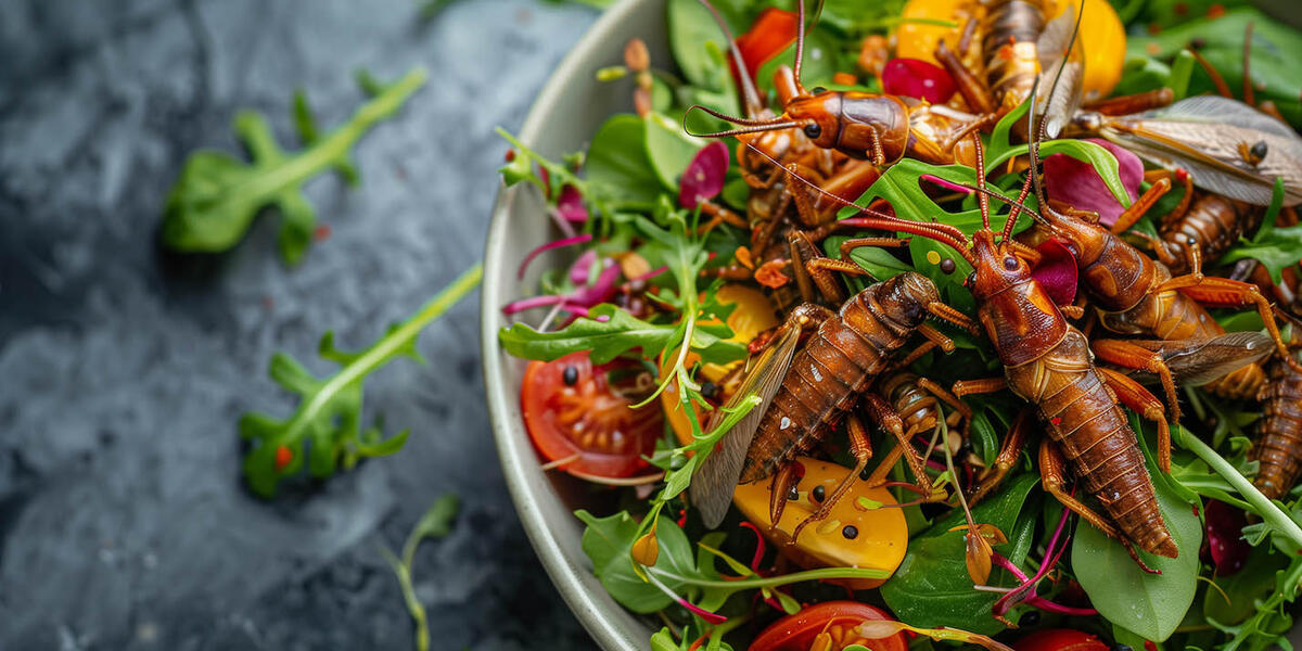 Salad criced
