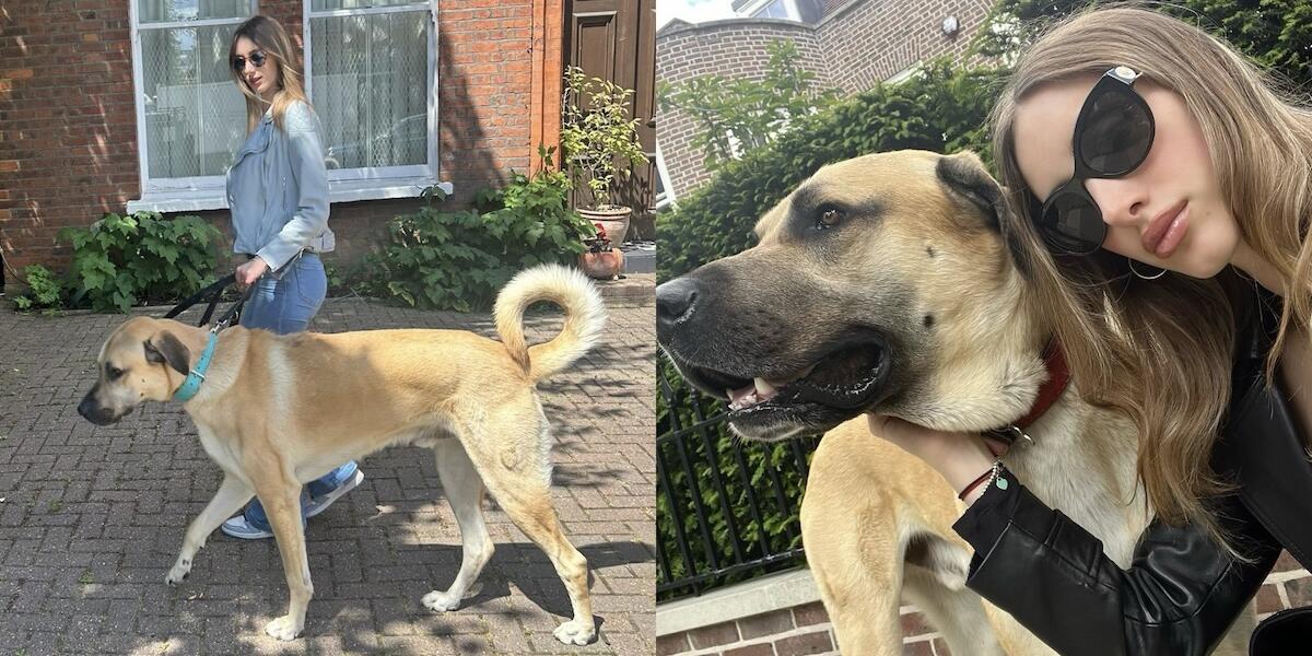 Pasha y Kangal