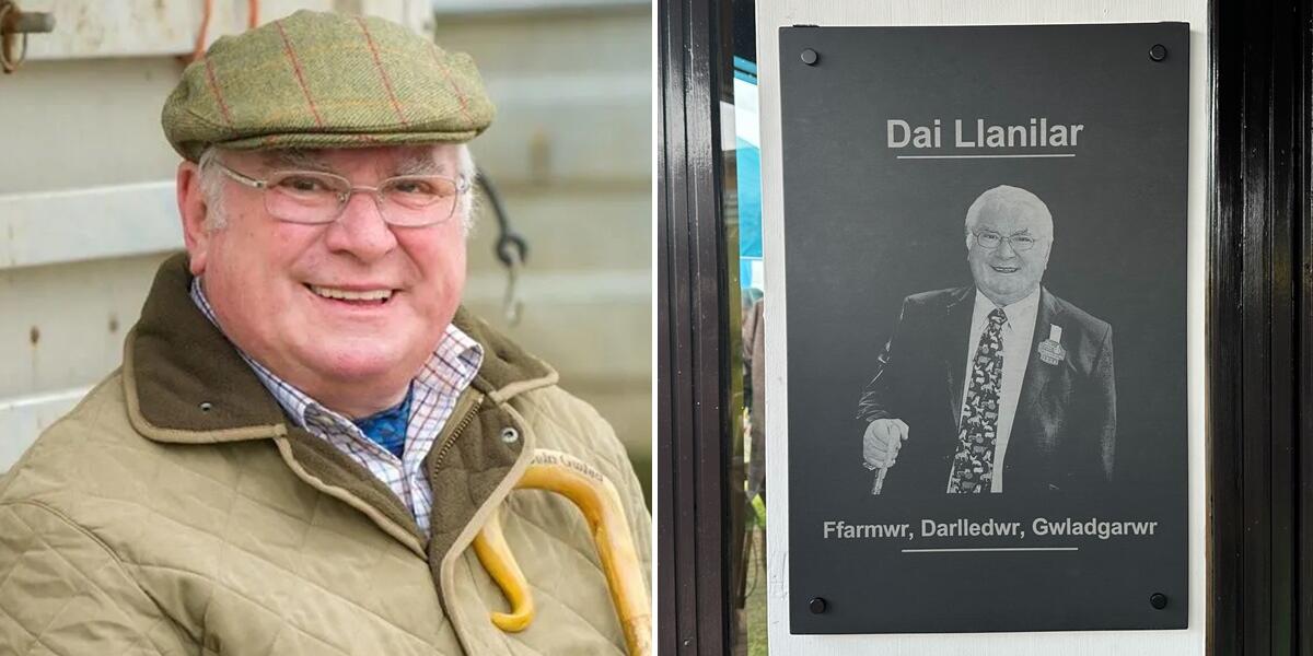 Dai Jones Llanilar