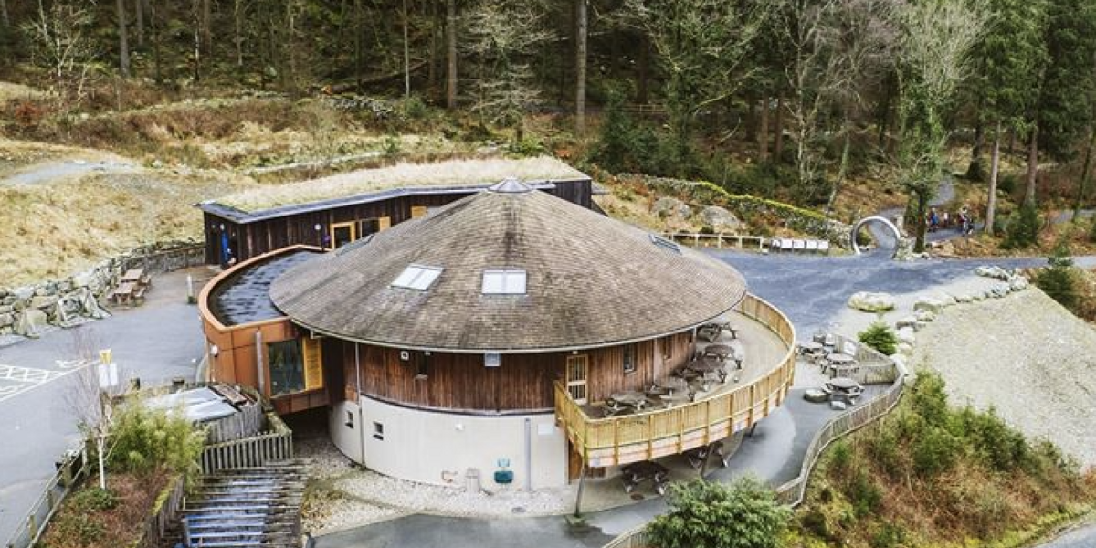 coed y brenin.png