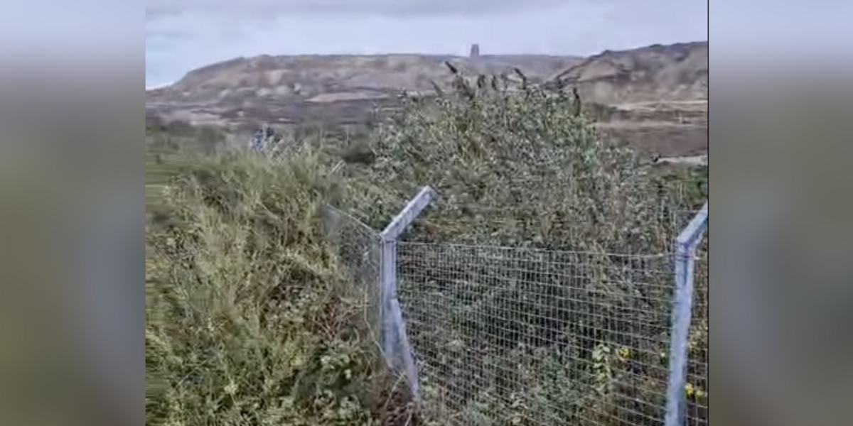 Ffens Mynydd Parys