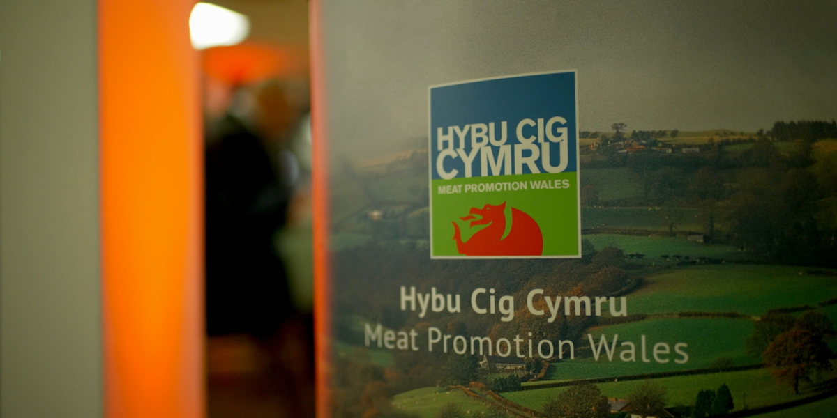 Hybu Cig Cymru
