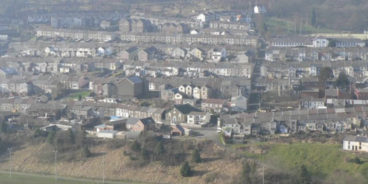 Glynrhedynog