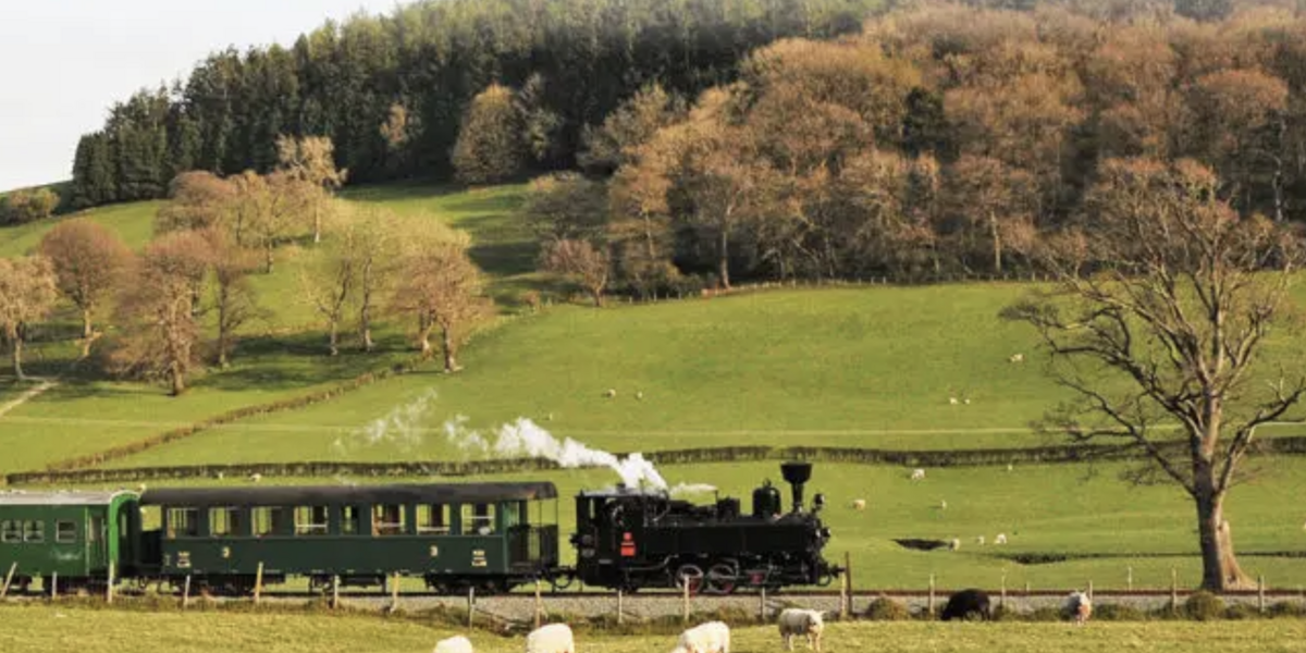 Rheilffordd Y Trallwng a Llanfair