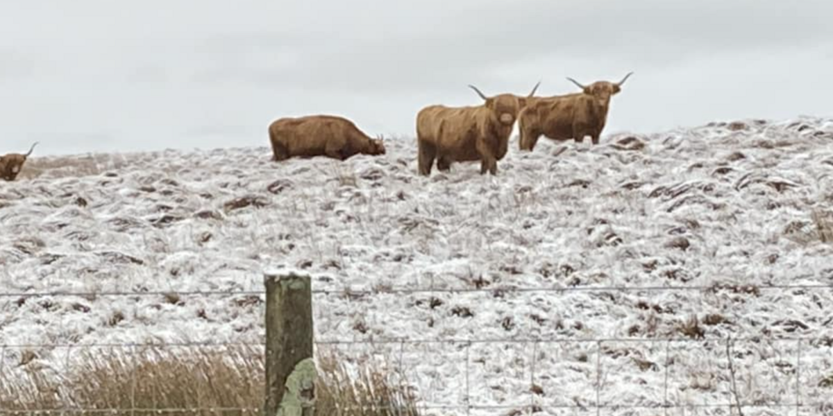 Mynydd Hiraethog