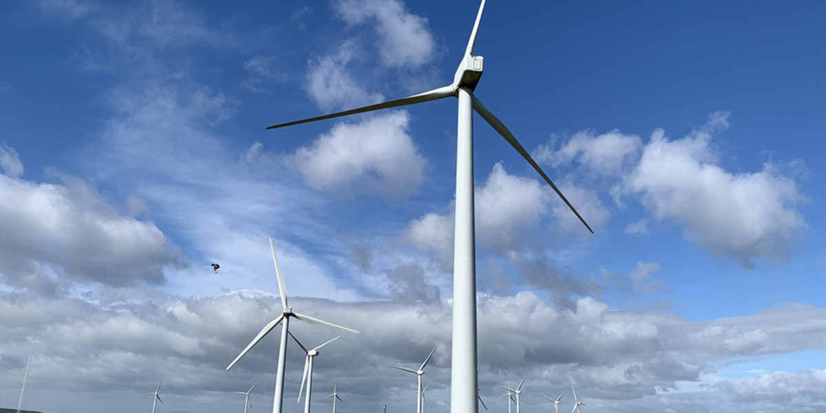 Fferm Wynt - Bute Energy