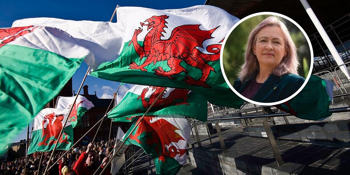 Dydd Gwyl Dewi