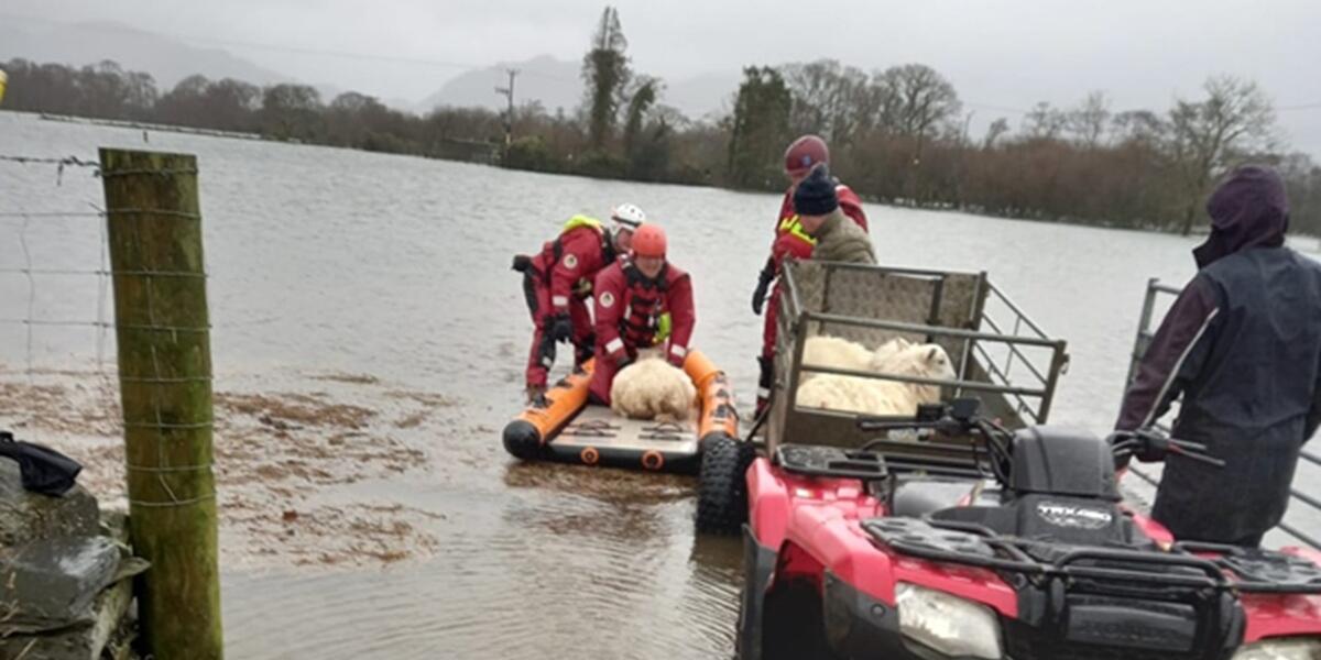 Defaid ar raft
