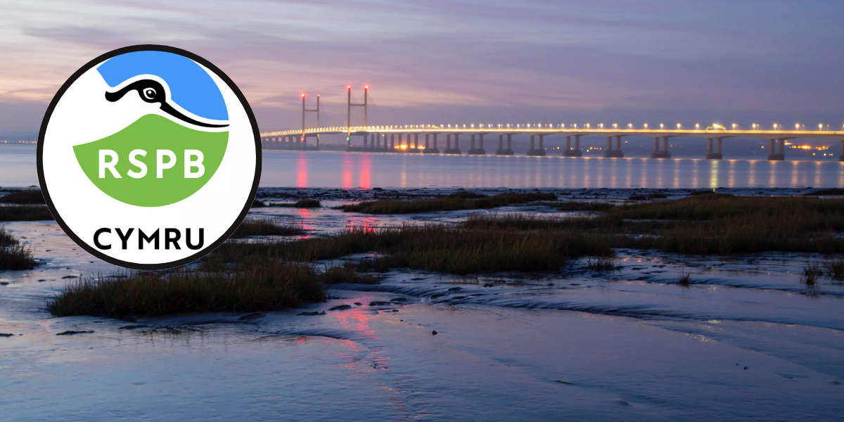 RSPB Cymru / Aber Hafren