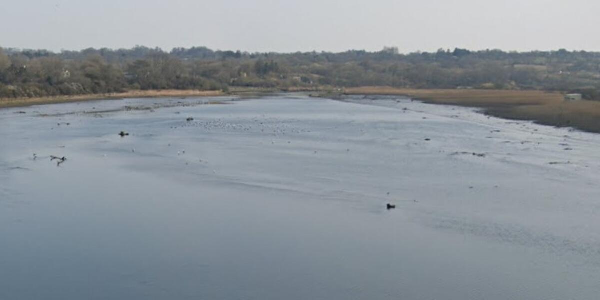 Afon Teifi