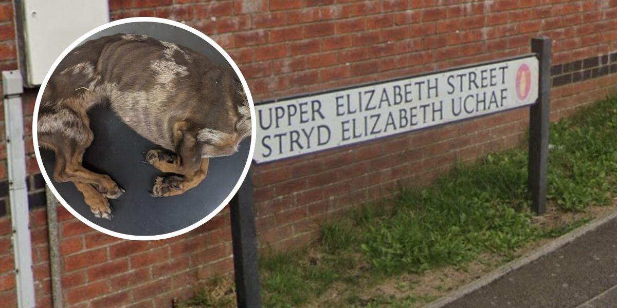 Stryd Elizabeth Uchaf