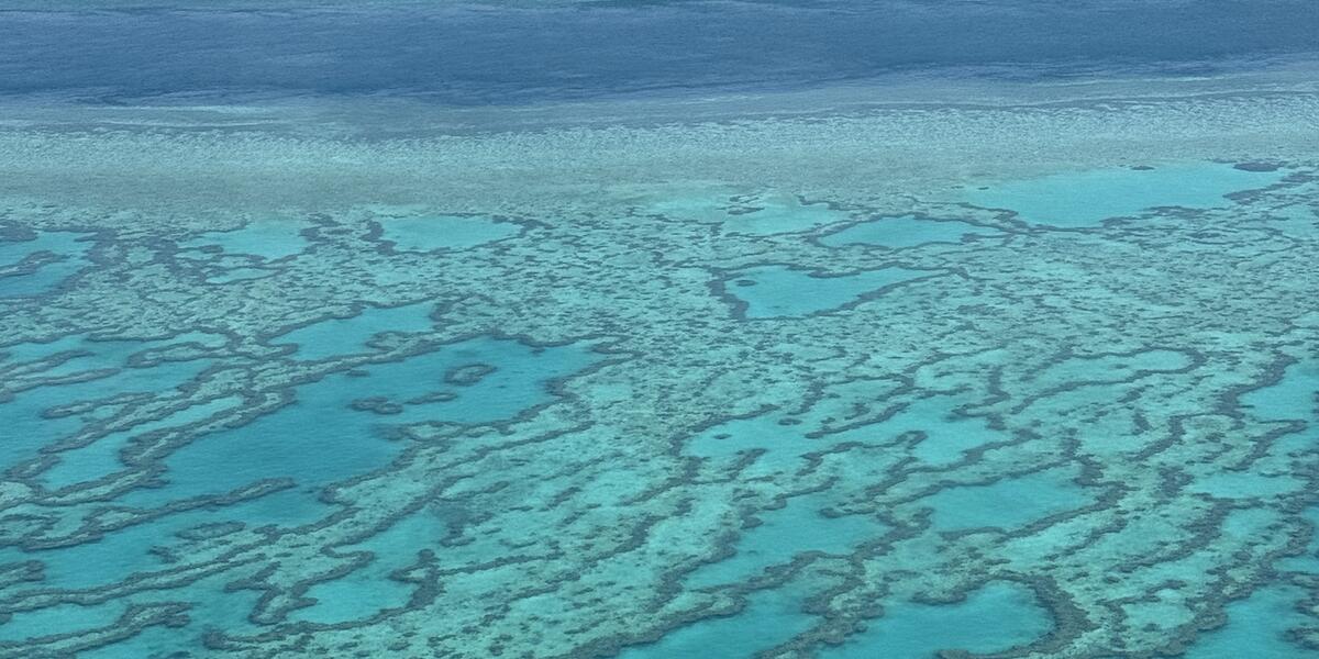 great barrier reef.jpg
