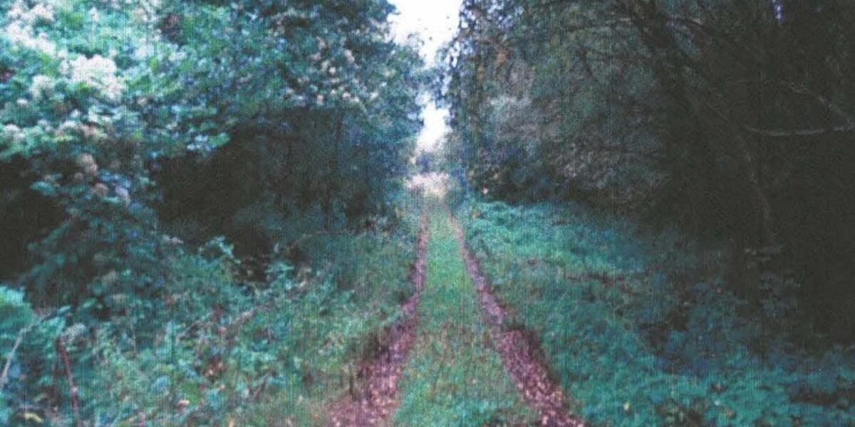 Coed y Wern, Glasinfryn ger Bangor