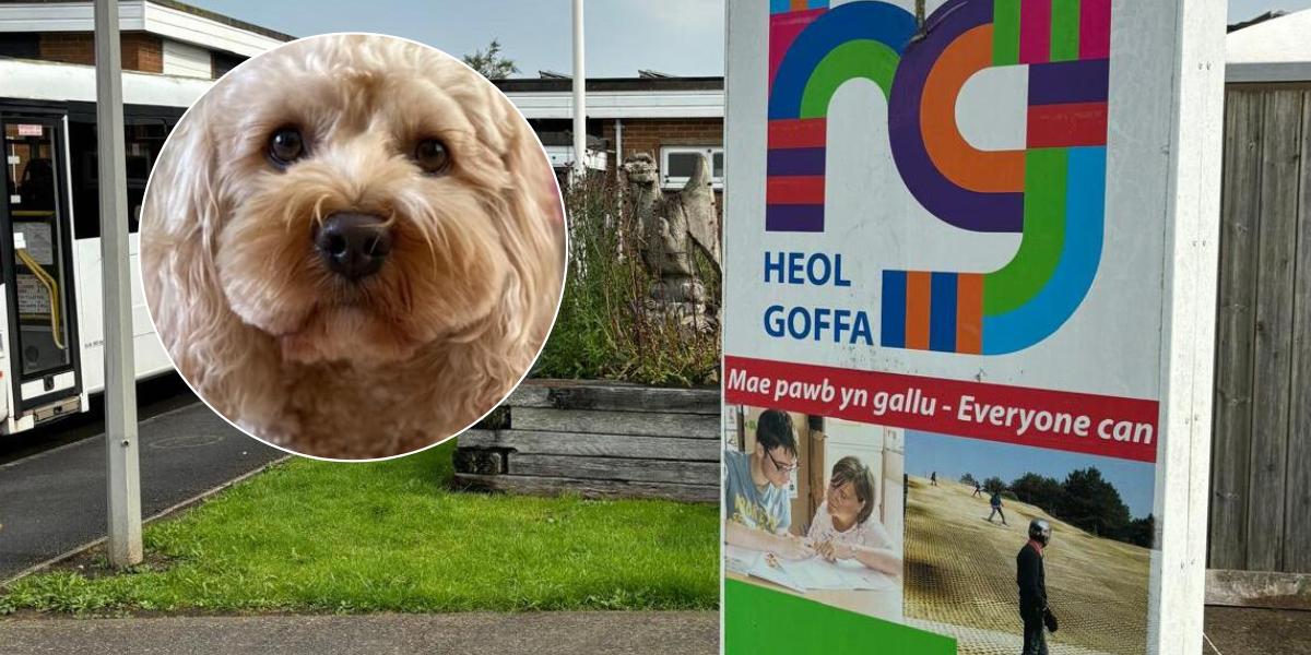 Dennis Ysgol Heol Goffa