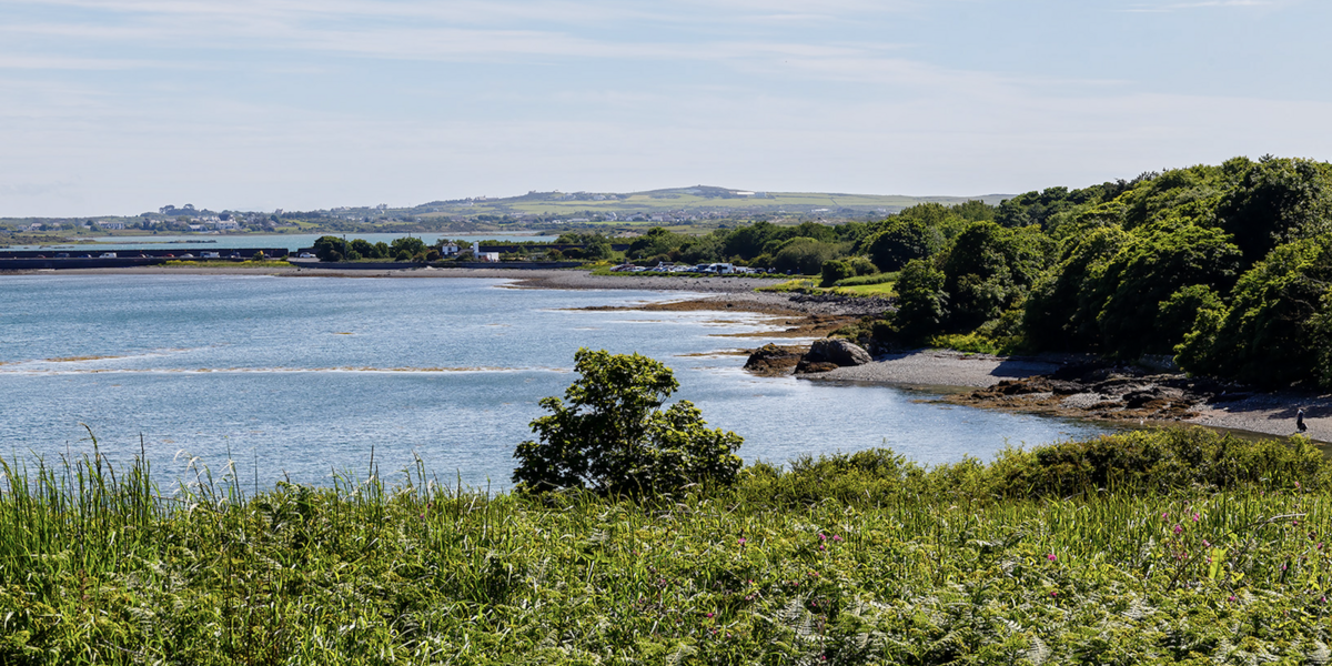 Penrhos (Kevin Thomas)