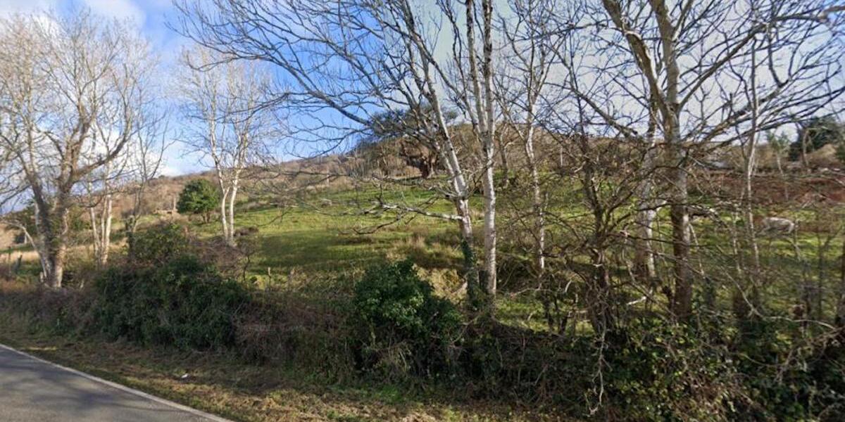 Coetir Llandecwyn