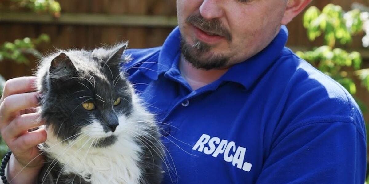 RSPCA taro anifeiliaid