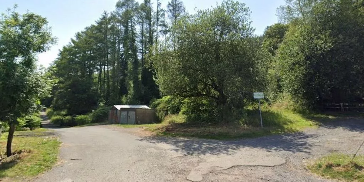 Coedwig Abercynon