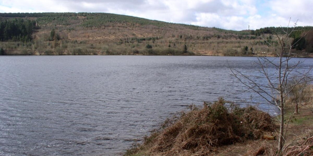 Cronfa ddwr Llwyn on