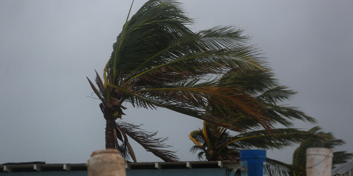 Storm Melissa, Jamaica (Reuters)