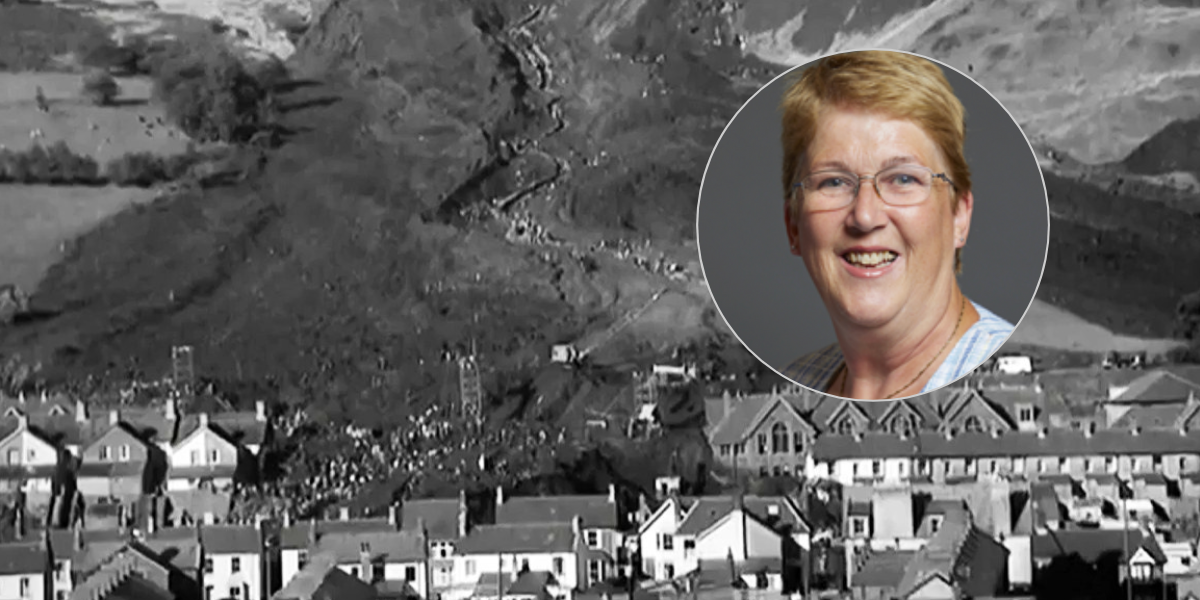 Ann Davies yn galw am fwy o arian i ddiogelu tomenni glo