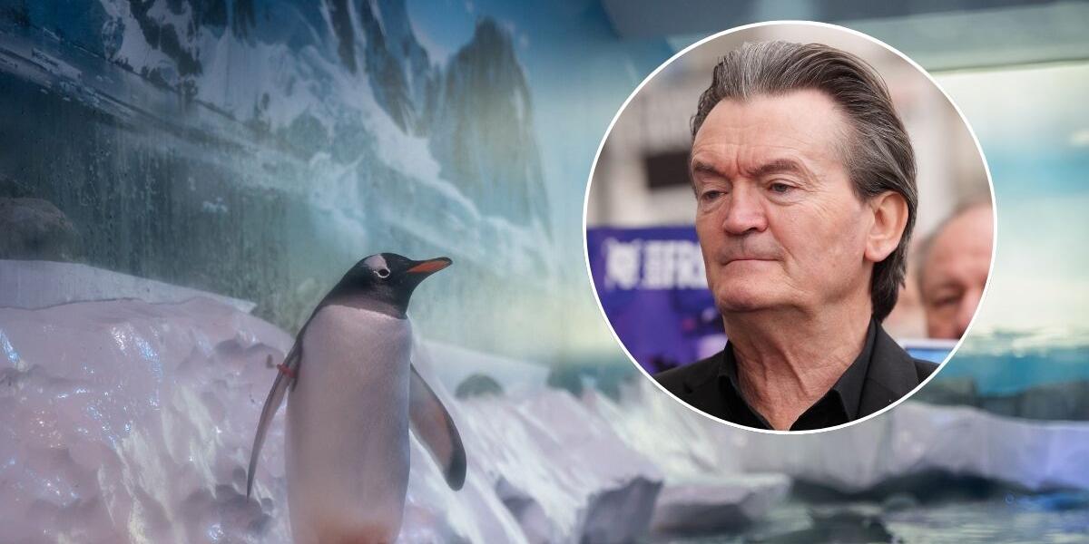 Feargal Sharkey