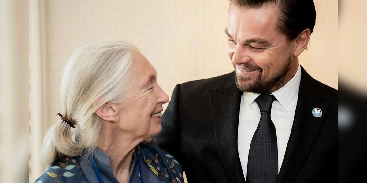 Leonardo DiCaprio