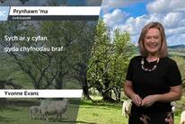 Yvonne gyda rhagolygon y tywydd