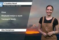 Alex gyda rhagolygon y tywydd