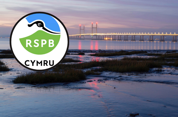 RSPB Cymru / Aber Hafren