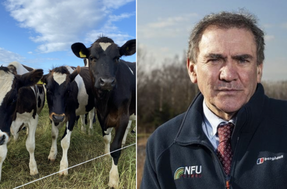 Gwartheg / Aled Jones NFU