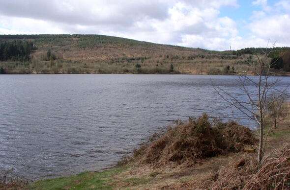 Cronfa ddwr Llwyn on