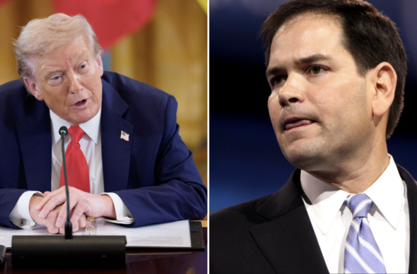 Trump / Rubio