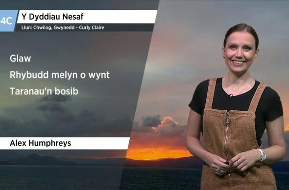 Alex gyda rhagolygon y tywydd