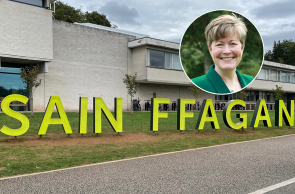 Sain Ffagan / CEO