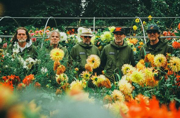 Super Furry Animals, Cardiff, August 2025