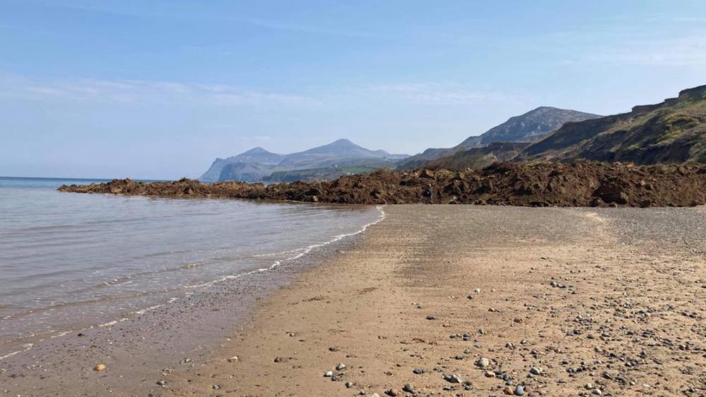 Nefyn