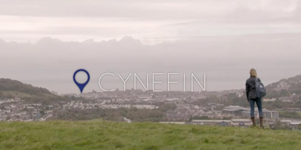 Cynefin