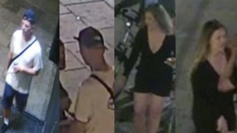 Witnesses Possible Bute Park