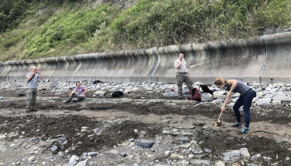 Gwyddonwyr yn archwilio traeth ym Mhenarth am olion dinosoriaid