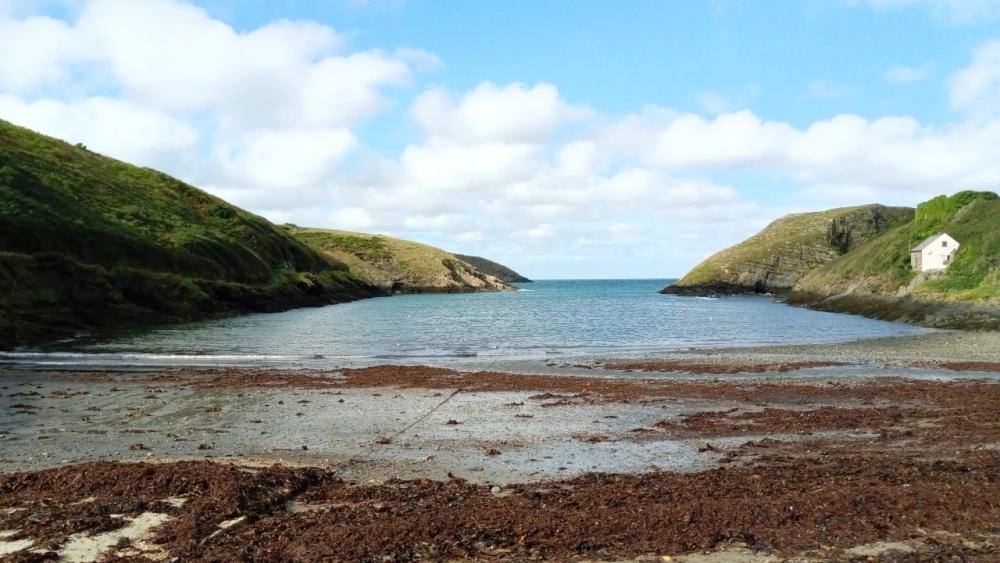 Ail cartrefi