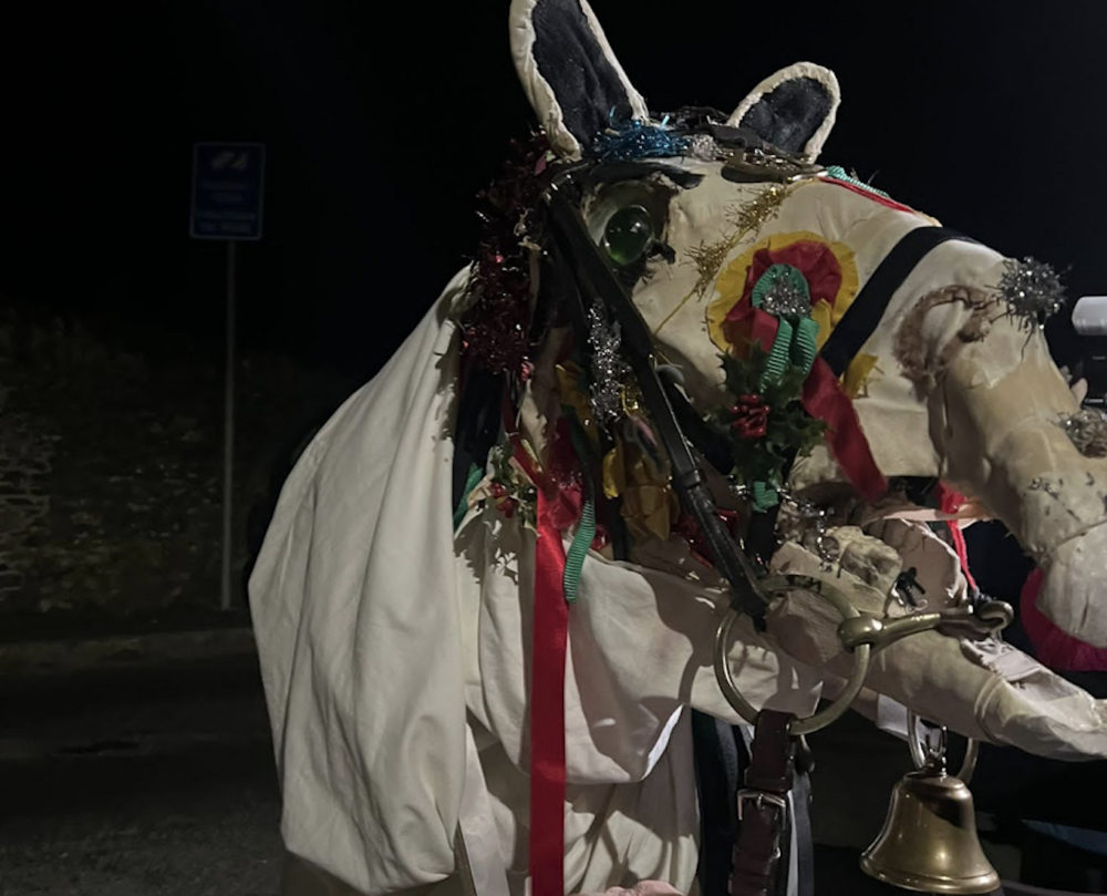 Mari Lwyd