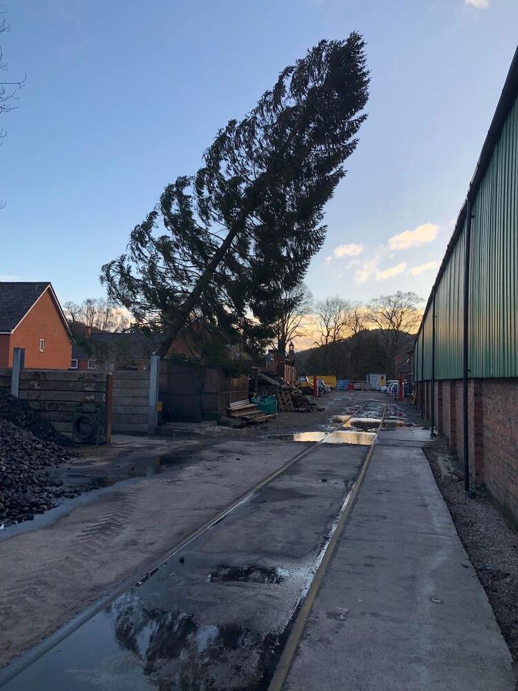Coeden wedi disgyn yn Llangollen