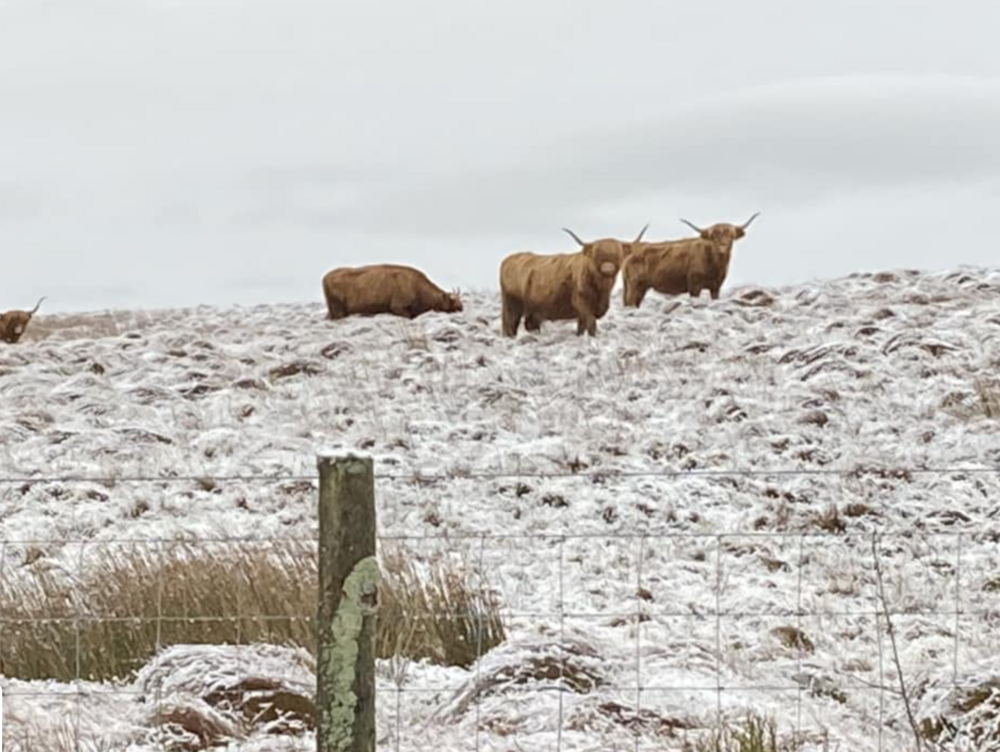 Mynydd Hiraethog